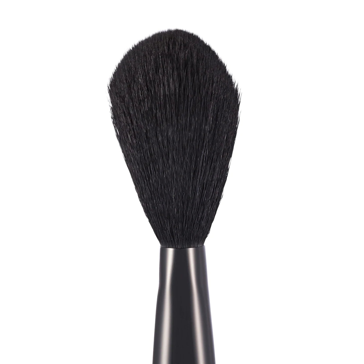 Powder Brush PD2